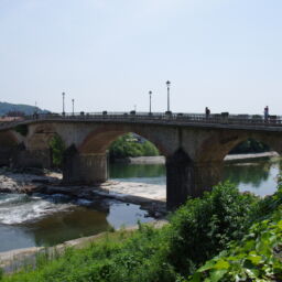 IMGP0773