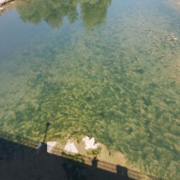 IMG_20260810_120838_hdr